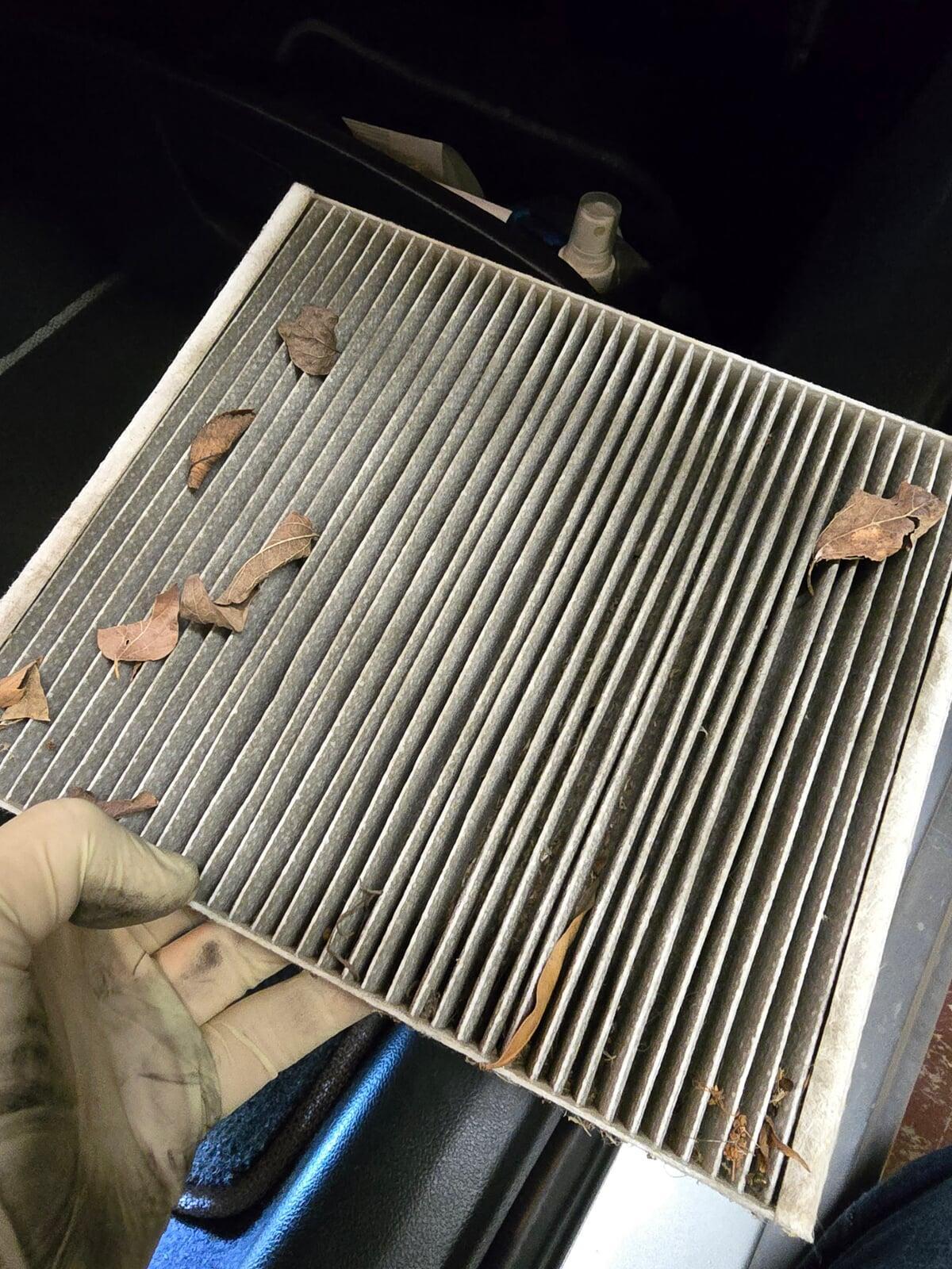 Mechanic holding a dirty cabin air filter with leaves, dirt and debris.